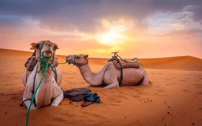 Tour : 04 Days From Marrakech